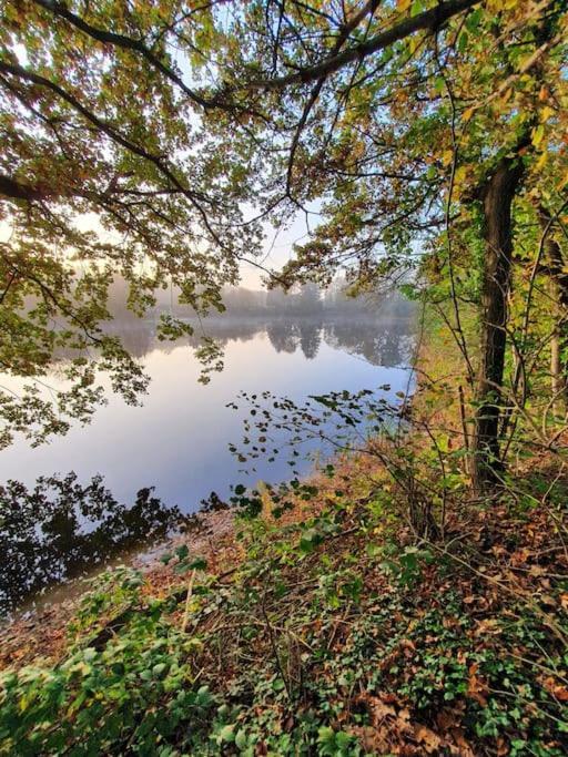 Ferienhaus Blauer See Mit Optionalem Hot-Tub 博克霍恩 外观 照片