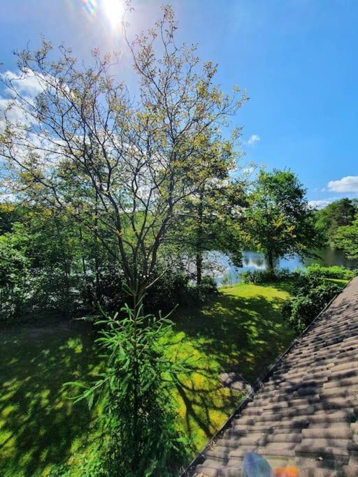 Ferienhaus Blauer See Mit Optionalem Hot-Tub 博克霍恩 外观 照片