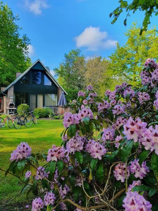 Ferienhaus Blauer See Mit Optionalem Hot-Tub 博克霍恩 外观 照片