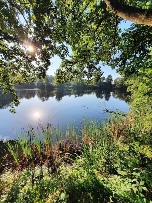 Ferienhaus Blauer See Mit Optionalem Hot-Tub 博克霍恩 外观 照片