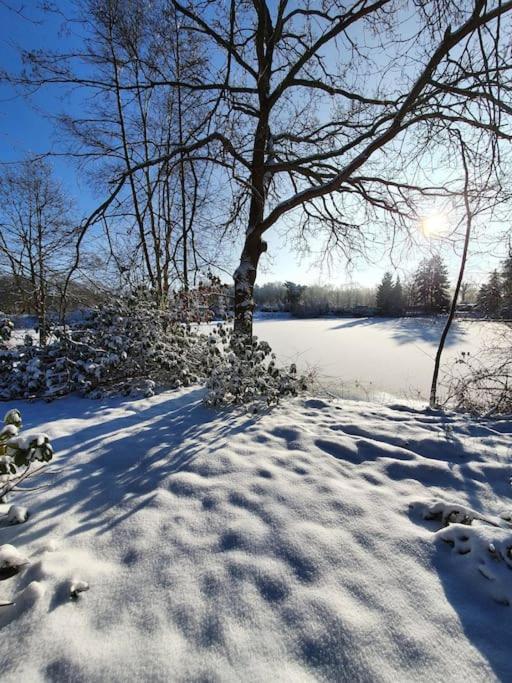 Ferienhaus Blauer See Mit Optionalem Hot-Tub 博克霍恩 外观 照片