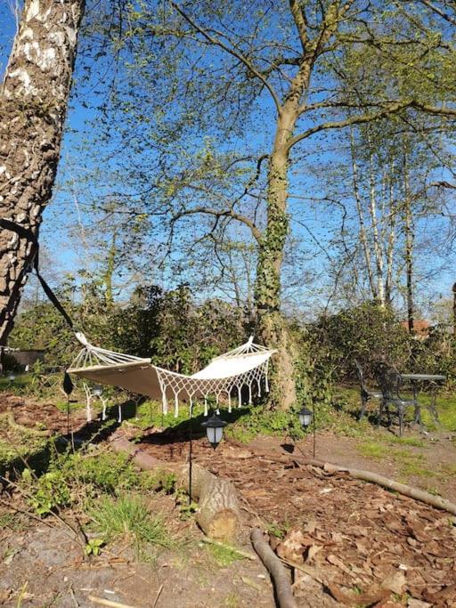 Ferienhaus Blauer See Mit Optionalem Hot-Tub 博克霍恩 外观 照片